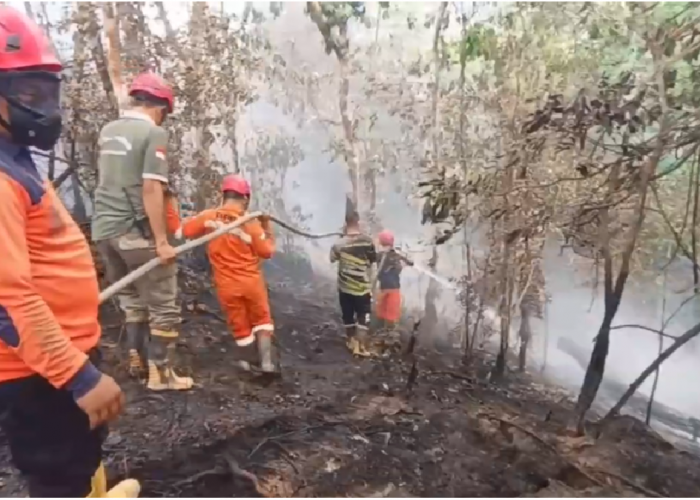 Karhutla di Bajubang, Tiga Hektare Kebun Sawit Warga Batang Hari Ludes Terbakar