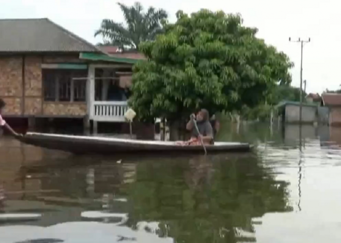 Debit Air Kembali Naik, Permukiman Penduduk Di Batanghari Kembali Terendam