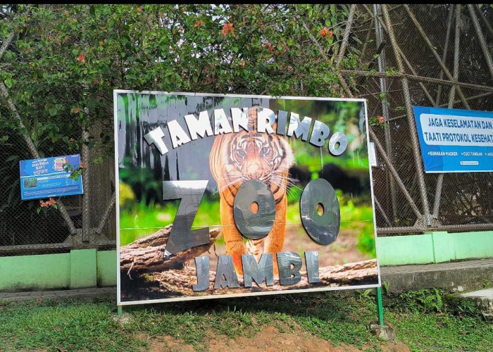 Taman Rimba Jambi Upaya Melestarikan Satwa dan Mendukung Pendidikan