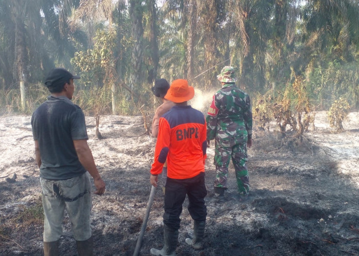Karhutla Mengintai Tanjabtimur, 23 Kasus Hanguskan 32,2 Hektare Lahan