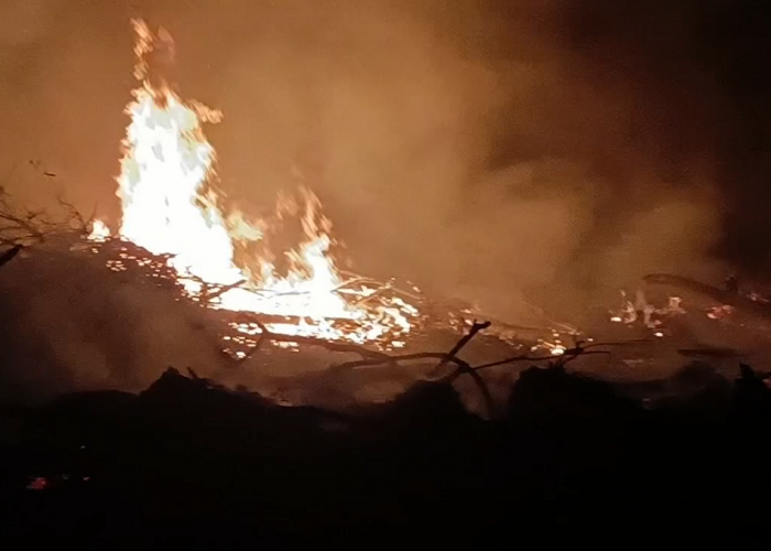 Kebakaran Hebat di Sarolangun Habiskan Dua Hektar Lahan Warga