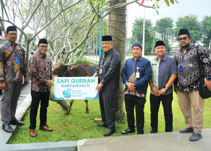 Idul Adha Tahun Ini, Perumdam Tirta Mayang Distribusikan 22 Sapi Kurban 