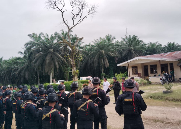 Ini Pemicu Awal Bentrok Warga SAD dan pihak Keamanan PT SAL 