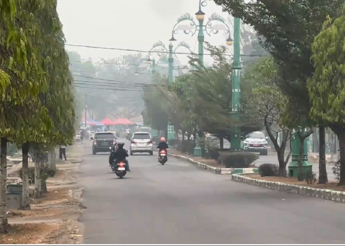 Kabut Asap Berdampak, 3.349 Warga Batang Hari Terpapar ISPA