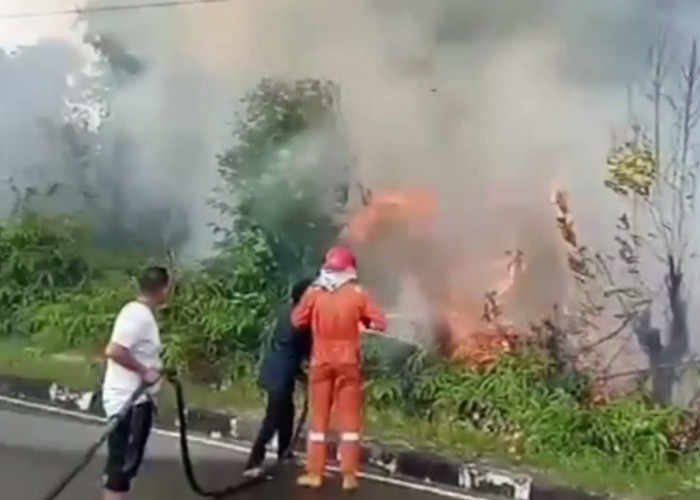 Satu Hektar Lahan Milik Pemkab Batanghari Hangus Terbakar