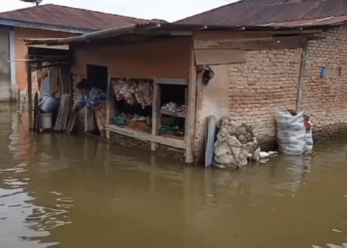 Puluhan Rumah di Desa Paling Serumpun Kembali Terendam Banjir