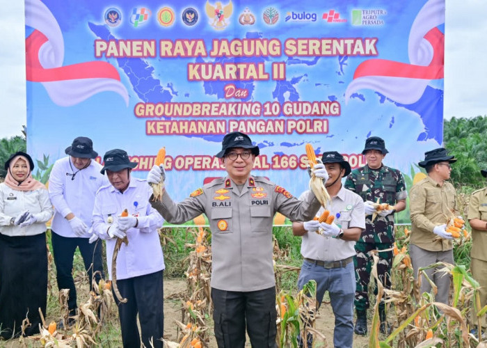 Polda Jambi Gelar Panen Raya Jagung Serentak Kuartal II 2026, Dukung Program Ketahanan Pangan Nasional