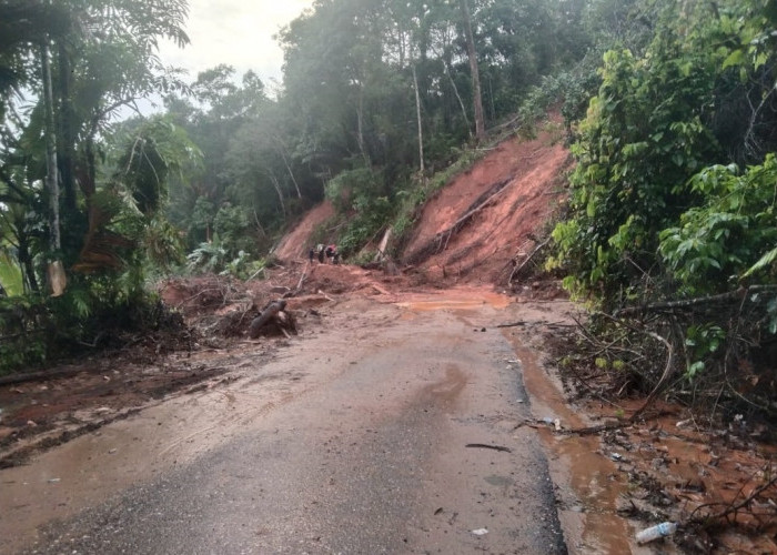 Selain Banjir Bandang, Tanah Longsor Juga Terjadi di Bungo 