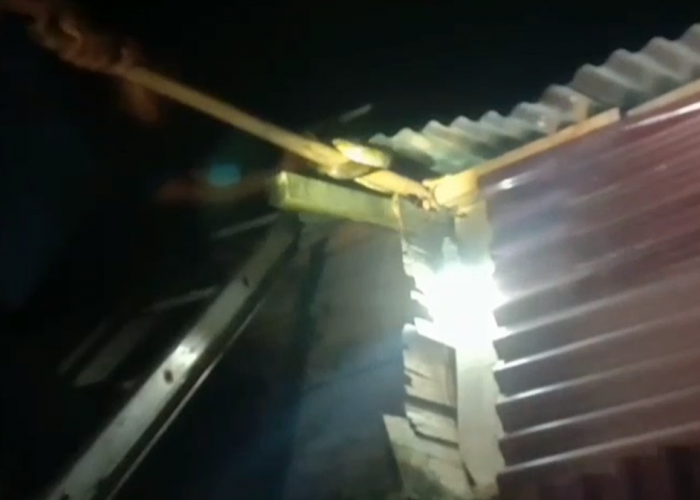Ular Sanca Mengancam Keluarga di Rimbo Bujang, Damkar Tebo Lakukan Penyelamatan 