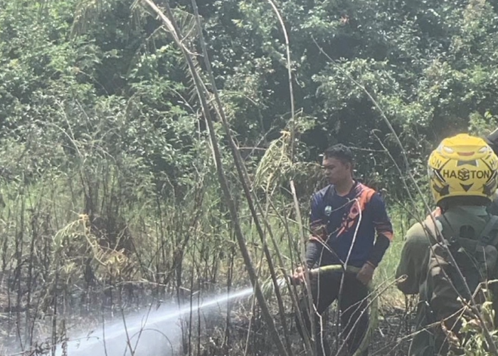 18 Kejadian Karhutla Terjadi di Muaro Jambi, Luas Lahan Terbakar Capai 37,95 Hektare 