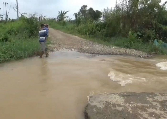 Jalan Penghubung 4 Desa di Taman Rajo Muaro Jambi Sudah 3 Bulan Putus Terendam Banjir