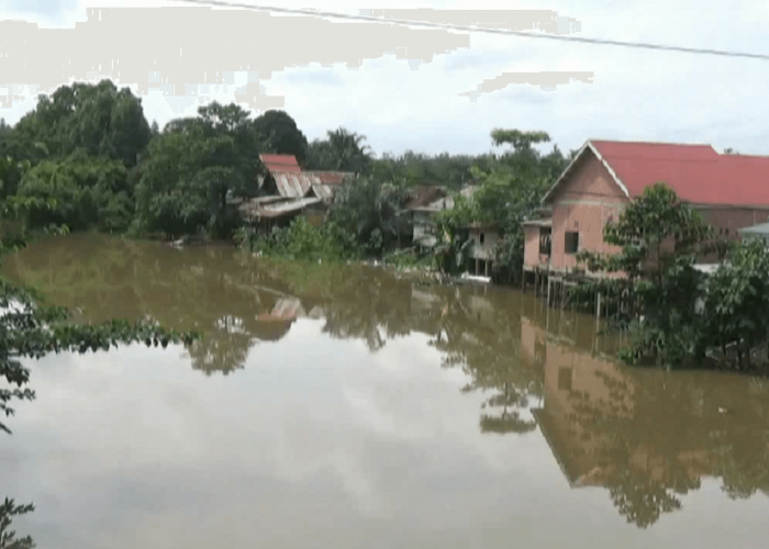 Waspada! 3 Titik Aliran Sungai Batanghari Dinyatakan Sudah Tercemar