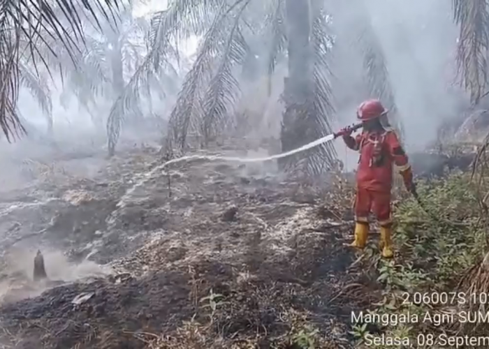 Tangani Karhutla, Pemkab Sarolangun Terima Bantuan Rp10 Miliar