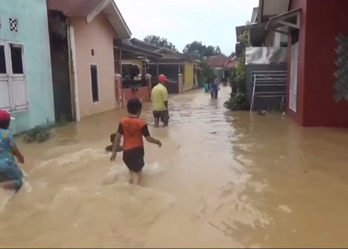 Ratusan Rumah Warga Desa Mendalo Darat Terendam Banjir