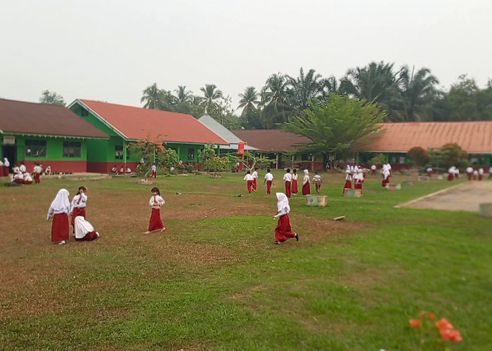 Kembali Masuk Sekolah, Siswa SDN 147 Bogorejo Tebo Antusias Ikuti Kegiatan Belajar Mengajar