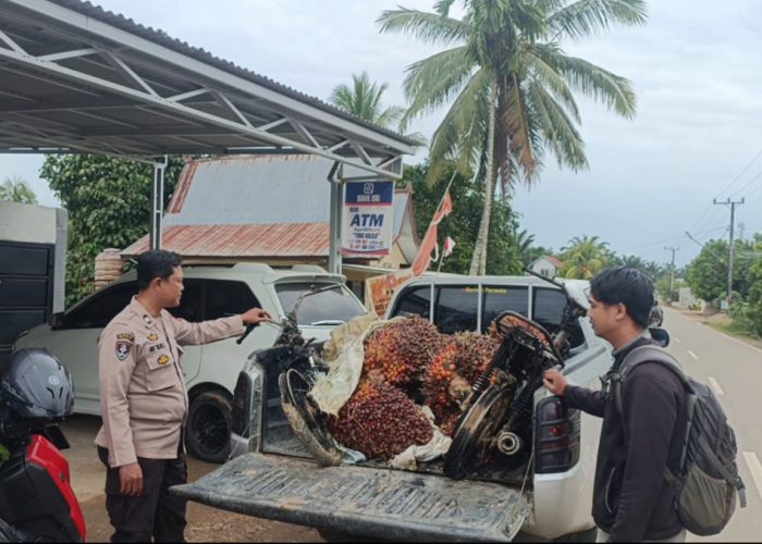 Pencurian sawit di Maro Sebo Ilir, 2 unit sepeda motor pelaku dibakar warga