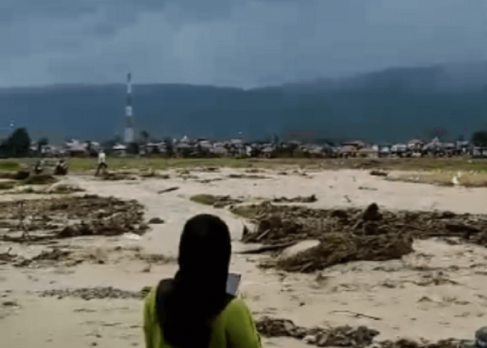 Puluhan Hektar Sawah Warga Di Kerinci Diterjang Banjir Bandang