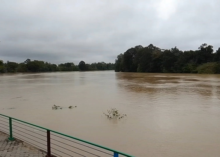 Kementerian LH Periksa Kualitas Sungai Batanghari, 4 Item Melebihi Baku Mutu