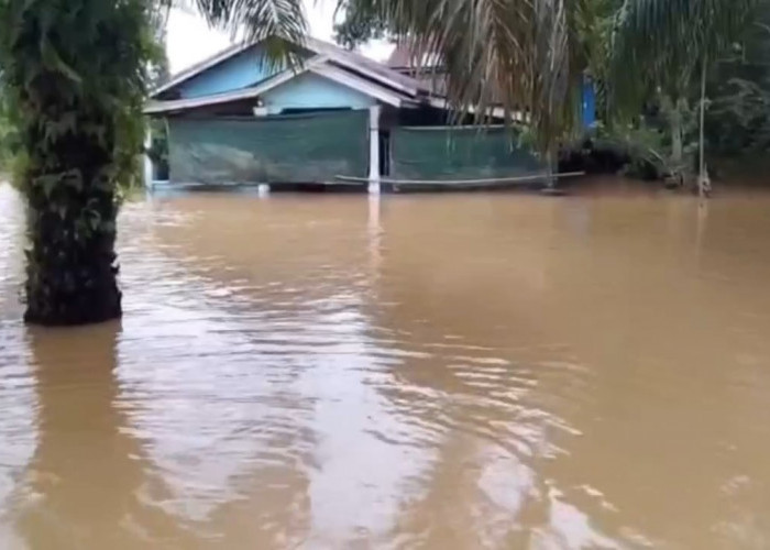 Banjir di Batanghari Rendam Ratusan Rumah, 158 KK di 2 Desa Terdampak