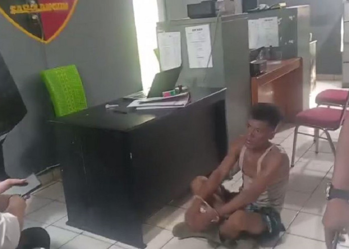 Polres Sarolangun Ringkus Pelaku Pencurian Sawit Yang Aniaya Korban Hingga Patah Tulang 