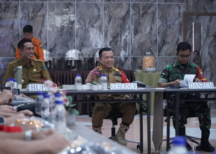 Karhutla Batang Hari Belum Padam, Gubernur Al Haris Perkuat Operasi Darat dan Udara