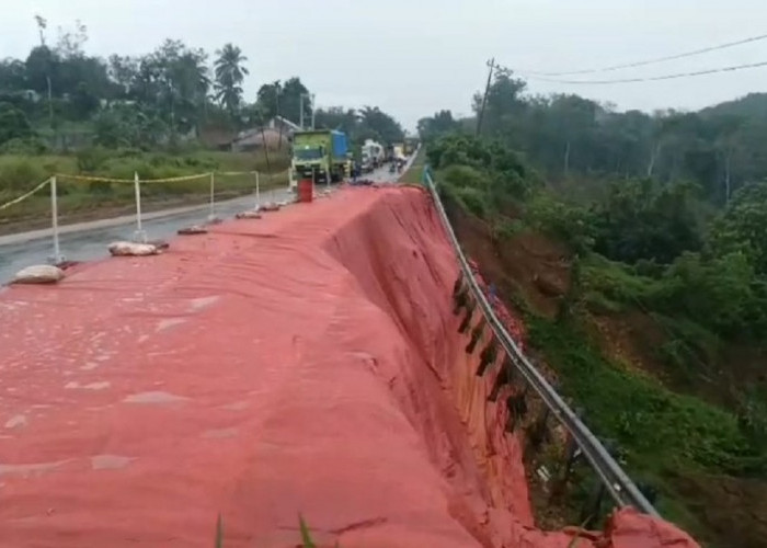 Longsor di Jalan Jambi-Padang Km 53 Nyaris Membuat Jalan Putus, Aspal Terlihat Sudah Mulai Retak