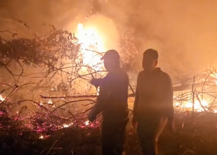 PT ALN Terbakar, Tim Karhutla Berjibaku Padamkan Api