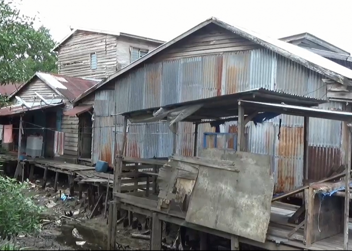 Waspada! 859 Kasus DBD di Provinsi Jambi, 4 Orang Meninggal