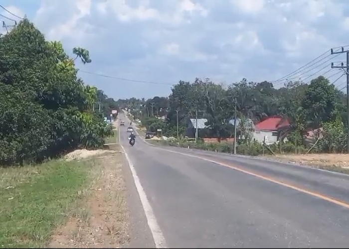 Kawasan HTI Sarolangun Ditanami Sawit, Satgas PKH Lakukan Penyegelan Massal