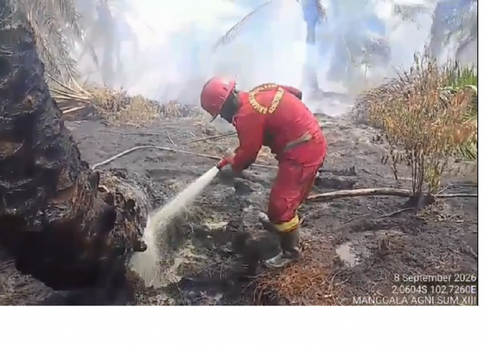 Karhutla Kembali Menghantui Muaro Jambi, Kumpeh dan Sungai Gelam Jadi Titik Rawan
