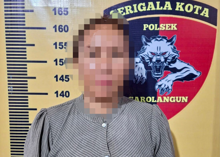 Bawa Kabur Pakayan Di Toko, Seorang Wanita  Berhasil Di Amankan