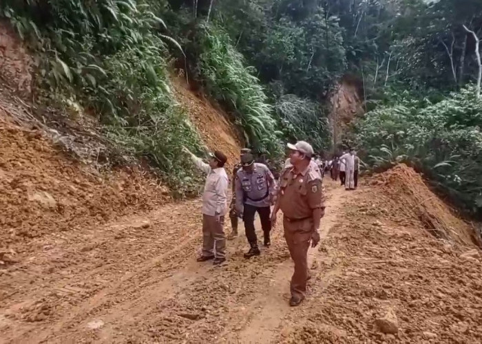 Pasca Longsor di Batang Asai, Pemkab Akan Bangun Penyangga Tebing 