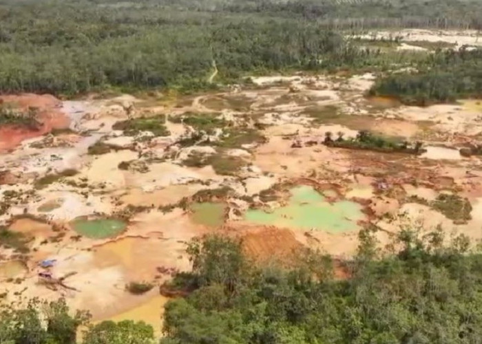 Diduga Penadah Emas Ilegal (PETI), Warga Muara Tabir Tebo Ditangkap Polda Jambi