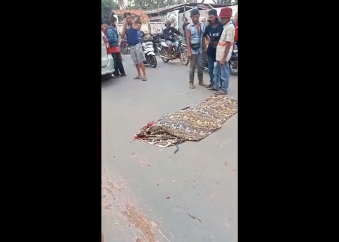 Tragedi di Jalan Jambi-Tangkit: Satu Tewas, Pelaku Tabrak Lari Masih Diburu