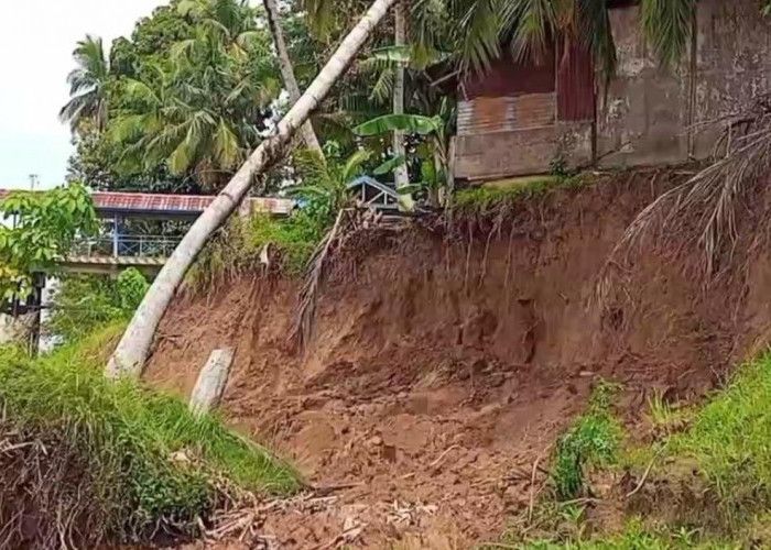 Tebing Sungai Longsor, Sejumlah Rumah Warga di Pasar Terusan Terancam Terjun Ke Sungai