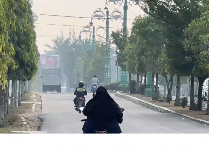 Dalam Enam Hari, Tercatat 805 Kasus ISPA Di Batang Hari