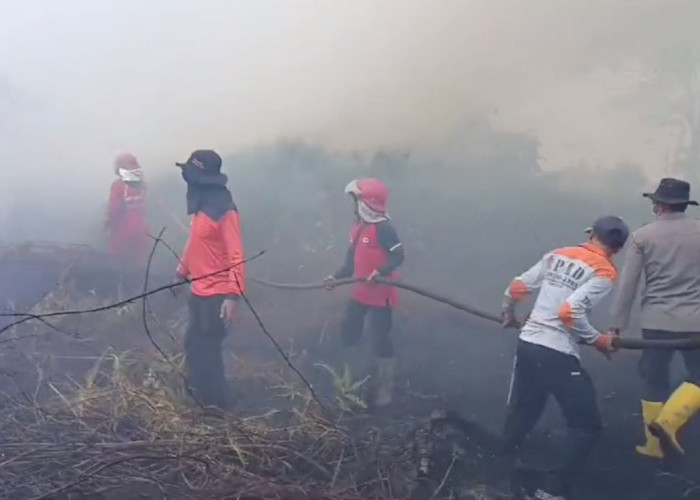 Hari Ketiga, Petugas Masih Berjibaku Padamkan Api di Desa Lubuk Kepayang