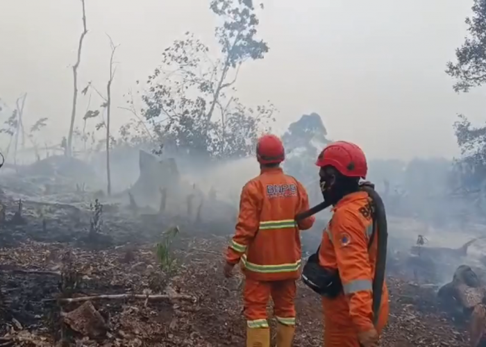 Sempat Nihil, Tiga Titik Api Karhutla Kembali Terdeteksi di Batanghari
