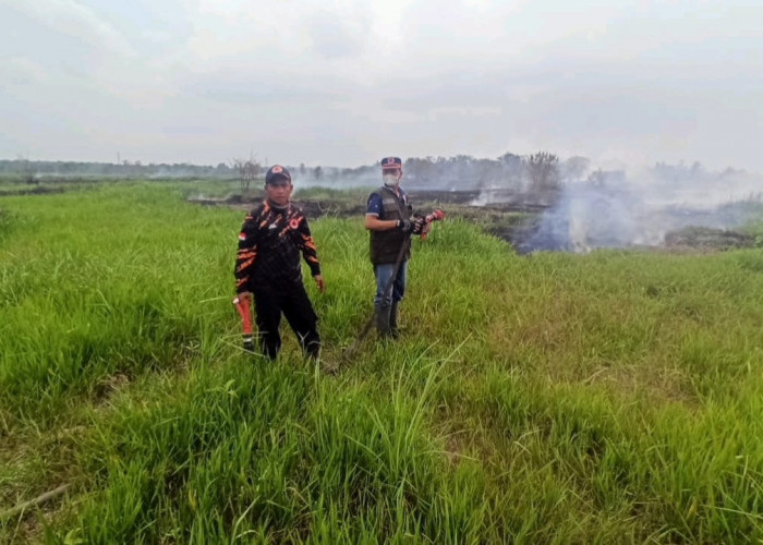 Kebakaran Lahan di Mudung Darat Area Bekas Persawahan, 1 Helikopter Diterjunkan Padamkan Api