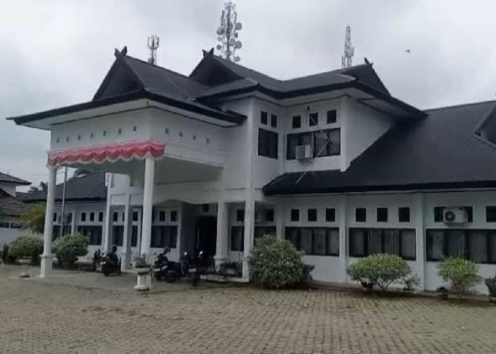 Akibat Silpa Lebih 30% DD Pematang Sapat Gagal Salur