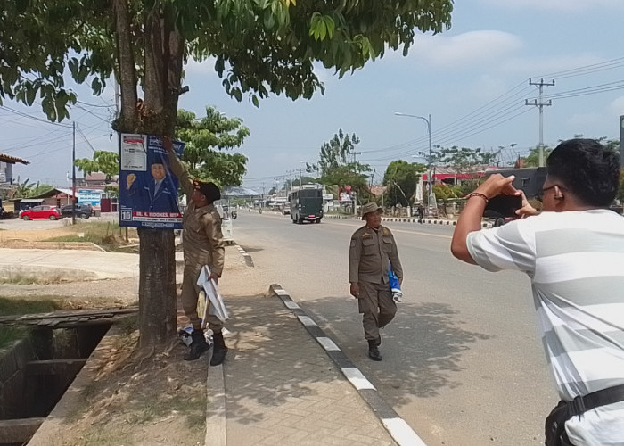 Satpol PP Tebo Copot APS Melanggar Perda Nomor 13 Tahun 2014, Dominan APS Bacaleg