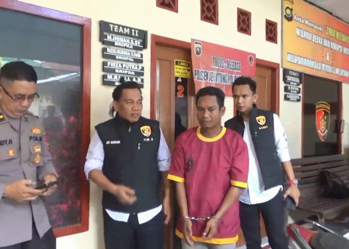 Satu Pencuri Kayu Bulian Ditangkap, Lima Buron Dikejar Polisi    ?