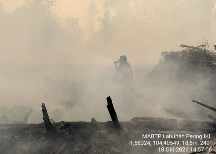 Hari Ketujuh, Karhutla di TN Berbak Sembilang Belum Padam, Tim Gabungan Terkendala Air dan Medan