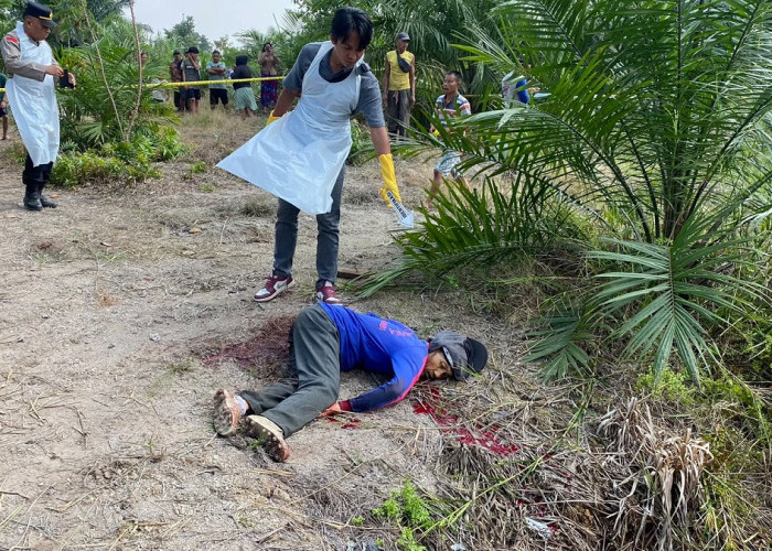 Bersimbah Darah! Pria di Mendahara Ulu Tewas Diduga Dibunuh, Polisi Selidiki Motif Perselisihan Lahan 