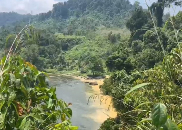 Aktivitas PETI Masih terjadi di Kawasan Hutan TNKS Wilayah Penetai Tamiai Kerinci