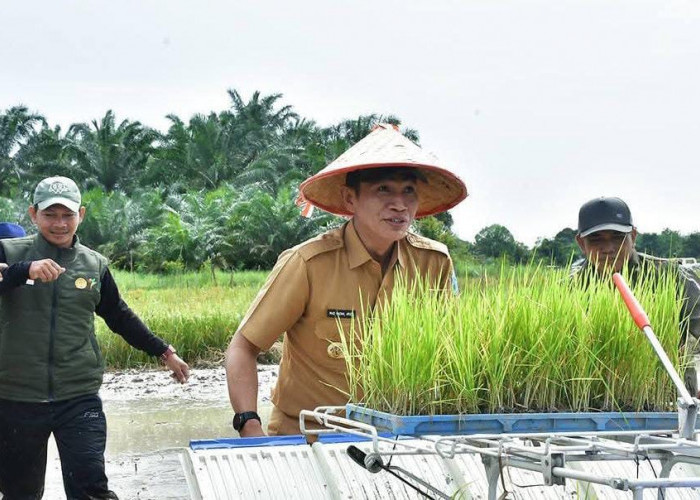 Bupati Mhd. Fadhil Arief Targetkan 8.252 Hektar Lahan Ditanami Padi