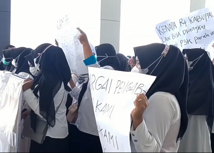 Tenaga Honorer R4 Kerinci Geruduk Kantor Bupati, Desak Kepastian Status P3K