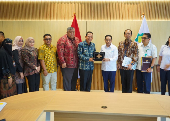 Bupati Muaro Jambi Temui Wamenkes, Dorong Penguatan RS dan Puskesmas