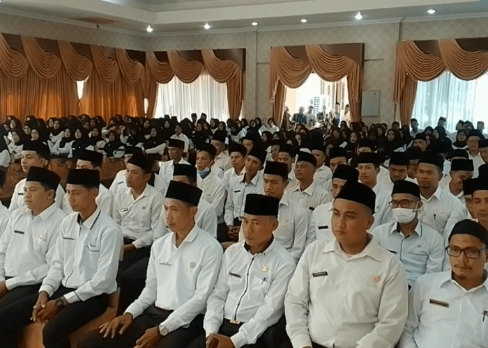 439 Pendaftar Tidak Lolos Administrasi Pada Penerimaan PPPK  2023 di Kabupaten Tebo