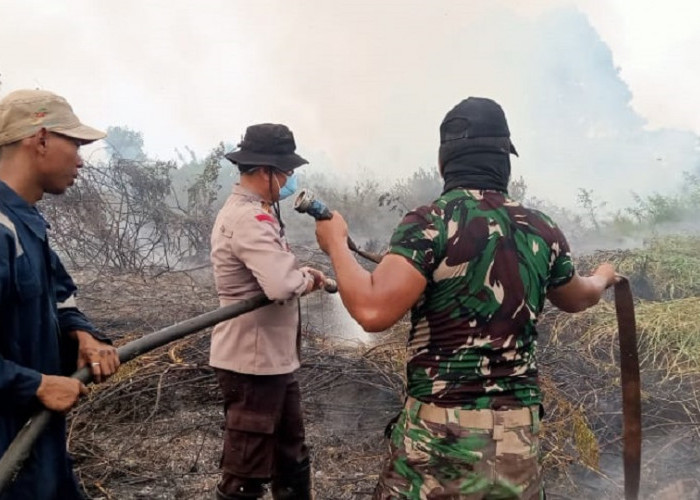 Tim Gabungan Padamkan Karhutla di Kumpeh Ulu, 10 Hektare Lahan Berhasil Dipadamkan
